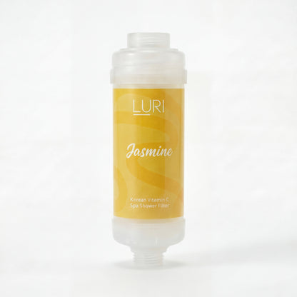 Vitamin C Shower Filter