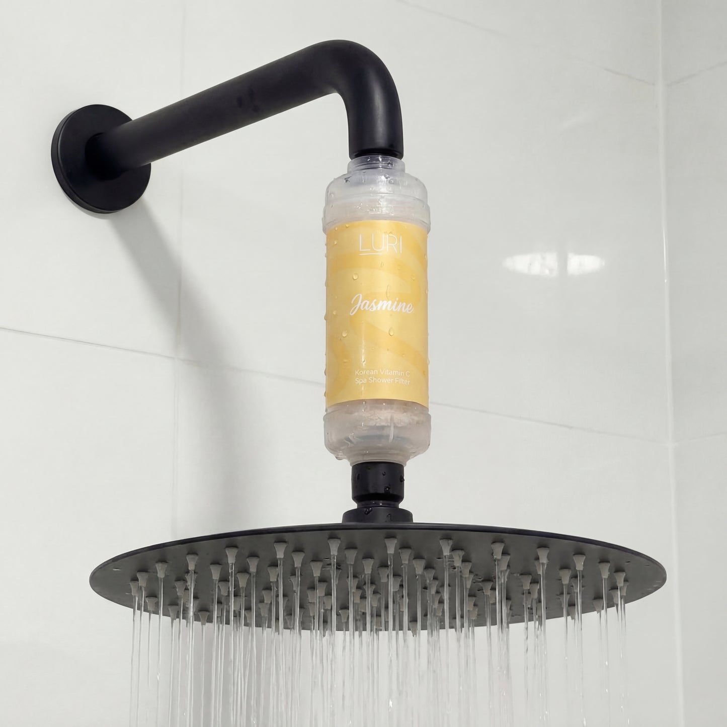 Vitamin C Shower Filter